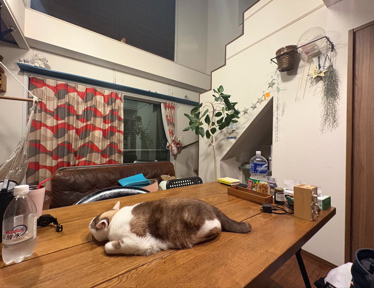 SHO (@sho282928) / Posts / X