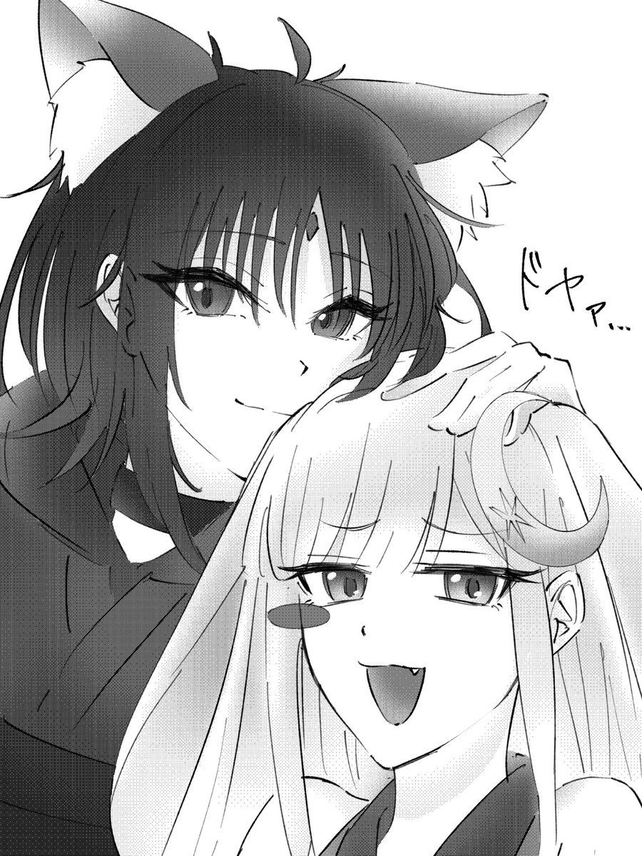 Post by セツナ on X: 🦊🐰