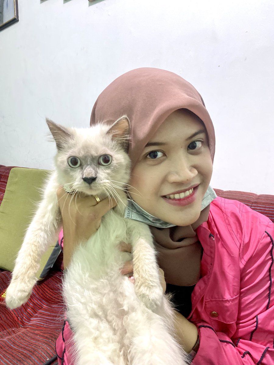 capriquietude's tweet photo. meet the cat, Jack!😼 https://t.co/WRcLCt8JES
