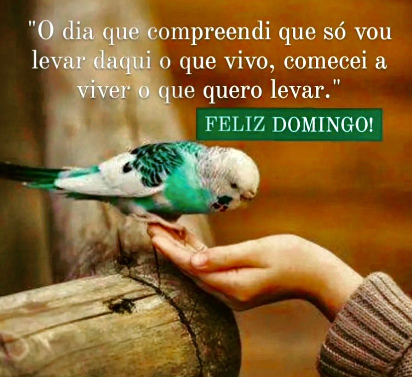 AdenilzeN's tweet photo. Bom Dia Pessoal! 💪🇧🇷 https://t.co/Nmq1JVm7fW