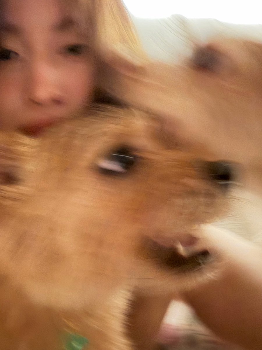 dubastrophile's tweet photo. dahyun w/ ari 🥰😇😊🤍💝☁
momo w/ boo + dobby 🫪🤯💥🤸🏻‍♀️🦖🤼 https://t.co/F9gOdhPmFw