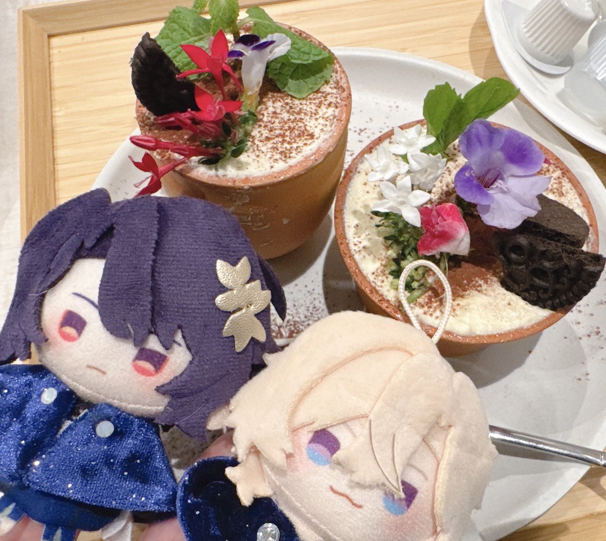 mitaxxn's tweet photo. オシャレカフェで茶をしばいてきました https://t.co/Ii5GLiVh5u