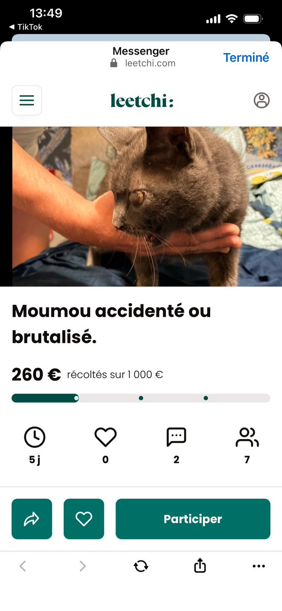 kasiarya's tweet photo. Le cat twitter vous pouvez partager svp ? 
Le chat d’une amie de ma mère s’est visiblement fait brutaliser par des gens…

https://t.co/DMadeGiuoN https://t.co/3UuQEEoeqN