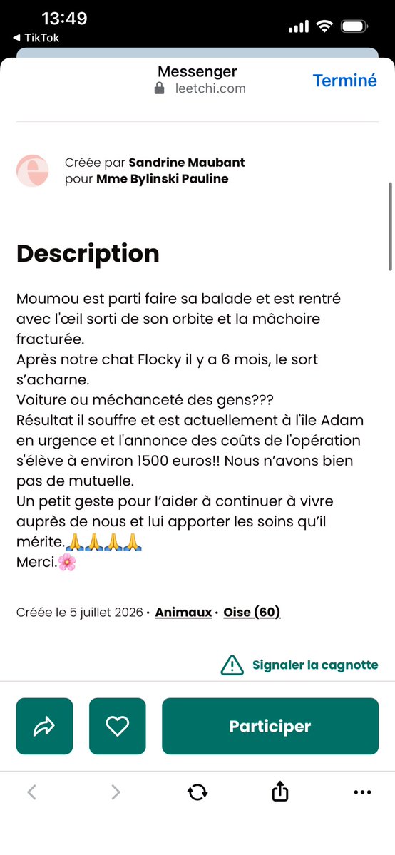 kasiarya's tweet photo. Le cat twitter vous pouvez partager svp ? 
Le chat d’une amie de ma mère s’est visiblement fait brutaliser par des gens…

https://t.co/DMadeGiuoN https://t.co/3UuQEEoeqN
