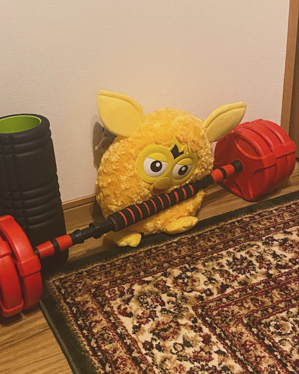 FurbyMs's tweet photo. 長い間頑張りすぎたので、今は少し休みながら、自分の好きなことに少しずつ戻っているところです。 ただいま~ https://t.co/KFwTG7Lcj3
