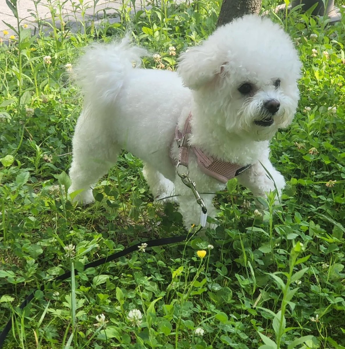 danna__0224's tweet photo. 아무데나 철푸덕 앉는 가나디 https://t.co/qHu3mbmqPX