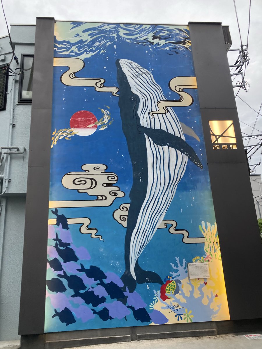 pon2_1's tweet photo. 相変わらずホッと一息つけると思うと、後ろから鬼が襲ってくるような毎日だけど(自称賽の河原で石積み)この街に来て一カ月、少しずつ文化を取り戻している。
今日はそれを痛感させられるような一日でした。こんな生活が贅沢ではなく日常になりますように🎋 https://t.co/r9GCPNnipK