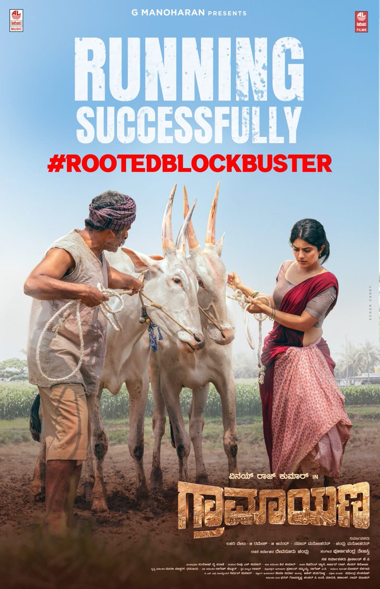 LetsXOtt's tweet photo. Hearing great news from the Kannada industry #Graamaayana is performing exceptionally well at the box office. 💥

Amazing public response and strong footfalls for this pure village drama. Good cinema wins 

Brilliant to see @VinayRajkumar score a massive theatrical winner with this deeply rooted subject.

#RootedBlockbusterGraamaayana