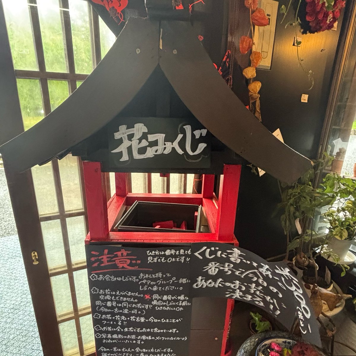 makigarnet's tweet photo. 💐𖤐 ̖́- https://t.co/M3QDIm50Sz