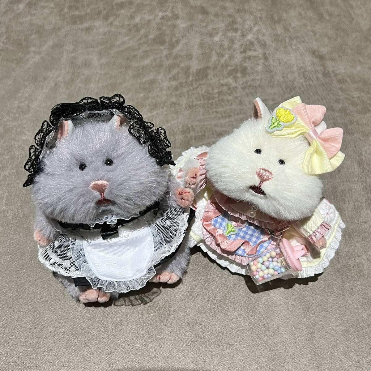 CO00_'s tweet photo. いや〜〜〜んかわいい https://t.co/IOIbWpqqVJ