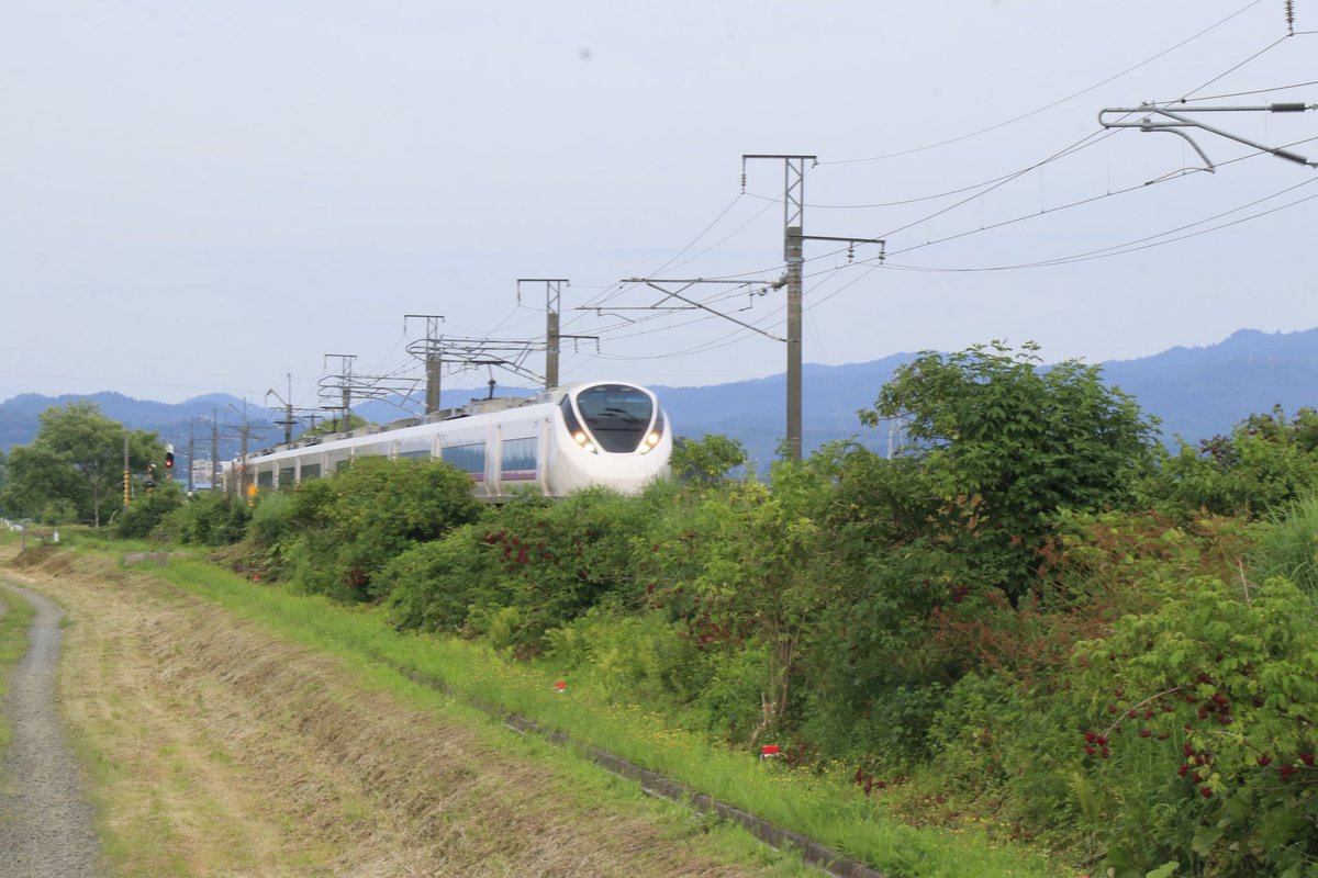 110_152's tweet photo. 本日のシメ
鷹巣到着後、情報が入っていたけど、時間なかったので鷹ノ巣駅近くで
お初のとこだけど草茂り過ぎてて場所良くなかった感
まあ記録程度やね
初来秋ですね

試9660M E657系ハンドル訓練復路

E657系K11編成[都カツ]

奥羽本線鷹ノ巣〜前山間

#キハ110の鉄記録 https://t.co/qanV5oClFY
