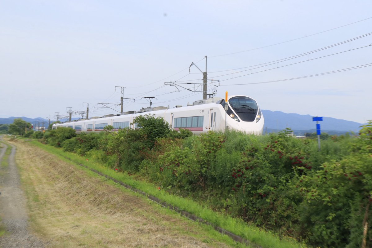 110_152's tweet photo. 本日のシメ
鷹巣到着後、情報が入っていたけど、時間なかったので鷹ノ巣駅近くで
お初のとこだけど草茂り過ぎてて場所良くなかった感
まあ記録程度やね
初来秋ですね

試9660M E657系ハンドル訓練復路

E657系K11編成[都カツ]

奥羽本線鷹ノ巣〜前山間

#キハ110の鉄記録 https://t.co/qanV5oClFY