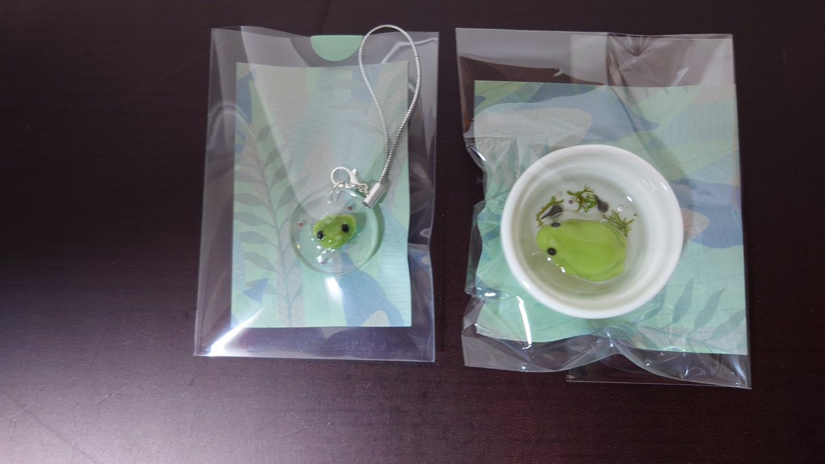 oosakaMacropus's tweet photo. かえるさんのこの透明感めっちゃ良かった！
ちっちゃいおたまが浮いてるのも良いし、顔だけ出してるのもかわいい。
後半にはほとんど売り切れてたので買えて良かったです。
枝豆とアマガエルは一緒なんですね（笑）
#レプタイルズフィーバー
#レプフィ 
#かえる歩道 https://t.co/tI79Xvenud