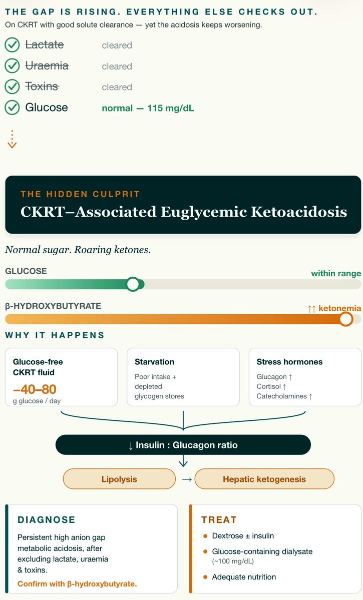 assad_sm's tweet photo. 1/5🩸🔄 Worsening Acidosis and Anion gap climbing on CKRT? 

Lactate’s clear, uraemia addressed, no toxins on board and the glucose is normal. Solute clearance looks fine, yet the acidosis keeps deepening.

Don’t stop there. Think ketones.
#NephTwitter
@isn_india @ISNkidneycare https://t.co/EQwgcrF4le