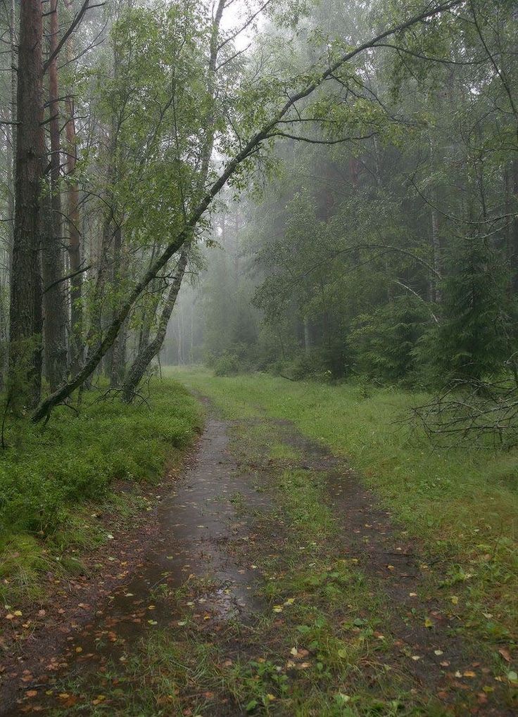 talya9646171863's tweet photo. Missing this weather 🌧️🧣 https://t.co/UHZcdMgNcG