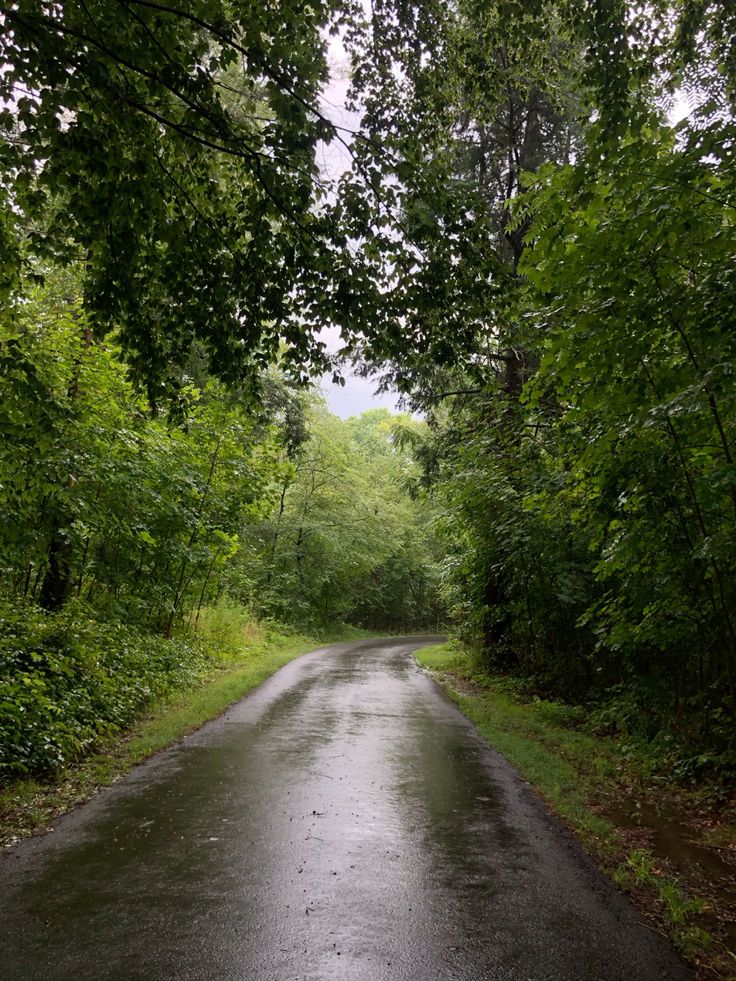 talya9646171863's tweet photo. Missing this weather 🌧️🧣 https://t.co/UHZcdMgNcG