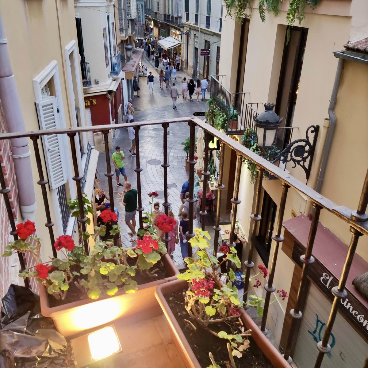 XiscaXis's tweet photo. “Siempre te ven mis ojos, ciudad de mis días marinos...”

✍️Vicente Aleixandre, El  Paraíso.

📸El alma de Málaga capturada por mi hijo desde un balcón de la calle Granada. El paraíso sigue intacto en su luz y en sus calles. https://t.co/ho3IUqJixx