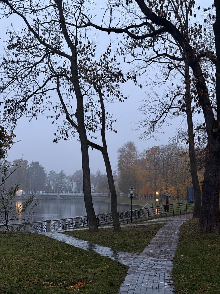 talya9646171863's tweet photo. Missing this weather 🌧️🧣 https://t.co/UHZcdMgNcG