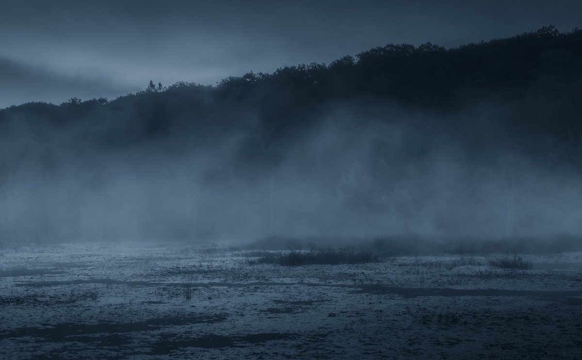 LokiHighlock's tweet photo. of fog and fen https://t.co/KySKaHLpiQ