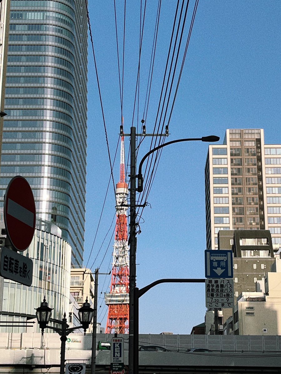 덕출 tweet media