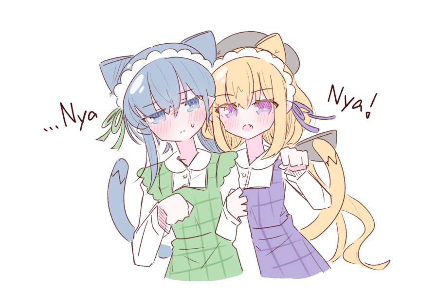 suzugamo_ngm's tweet photo. にゃ https://t.co/i5PTSxSeZd