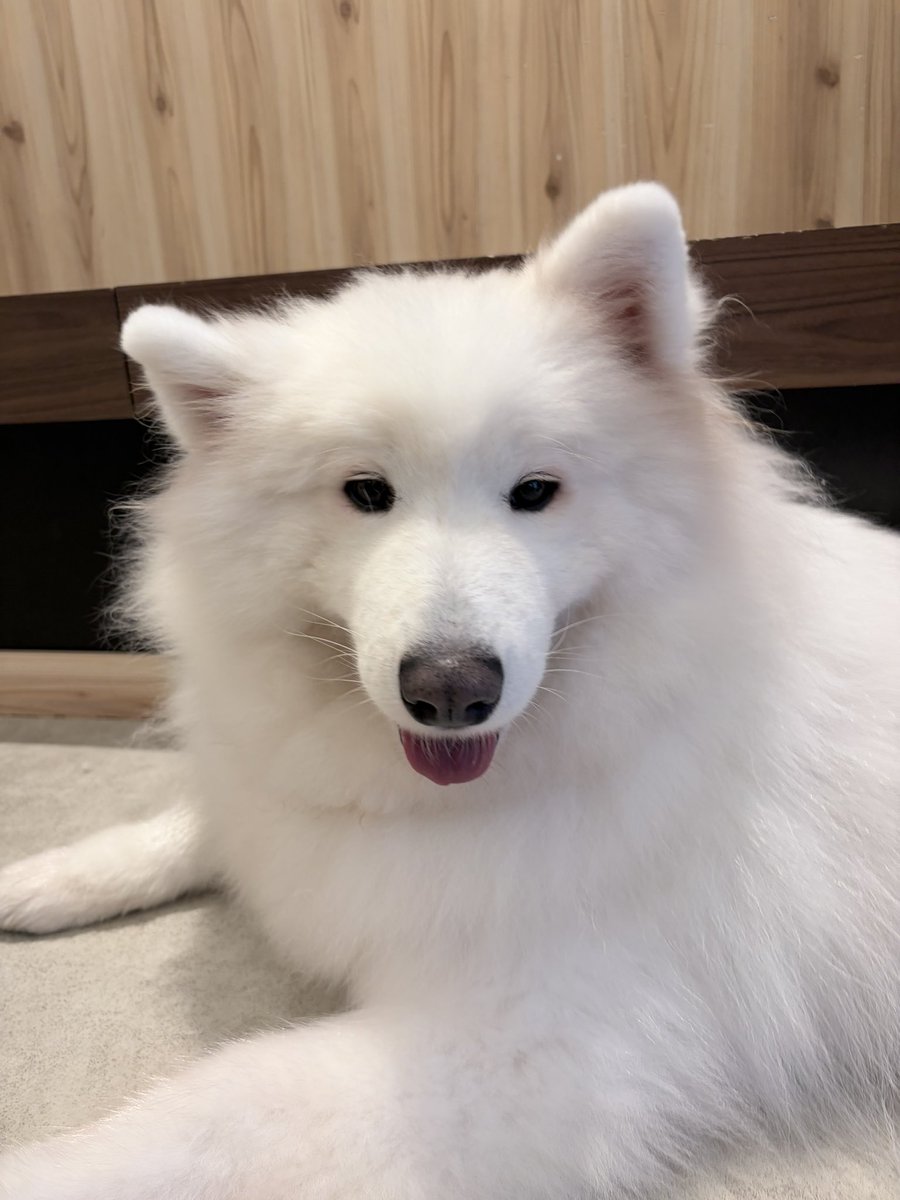 ostomlove's tweet photo. 最高かよ😭😭😭😭😭🩷🩷🩷 https://t.co/ILz77mOyEJ