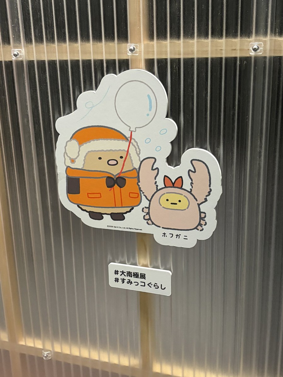 fk16162's tweet photo. 夫とお台場デートでした🥰
大南極展の後、「マンダロリアン・アンド・グローグー」も観てきたよ〜〜！！！ https://t.co/QftUuYm0JB