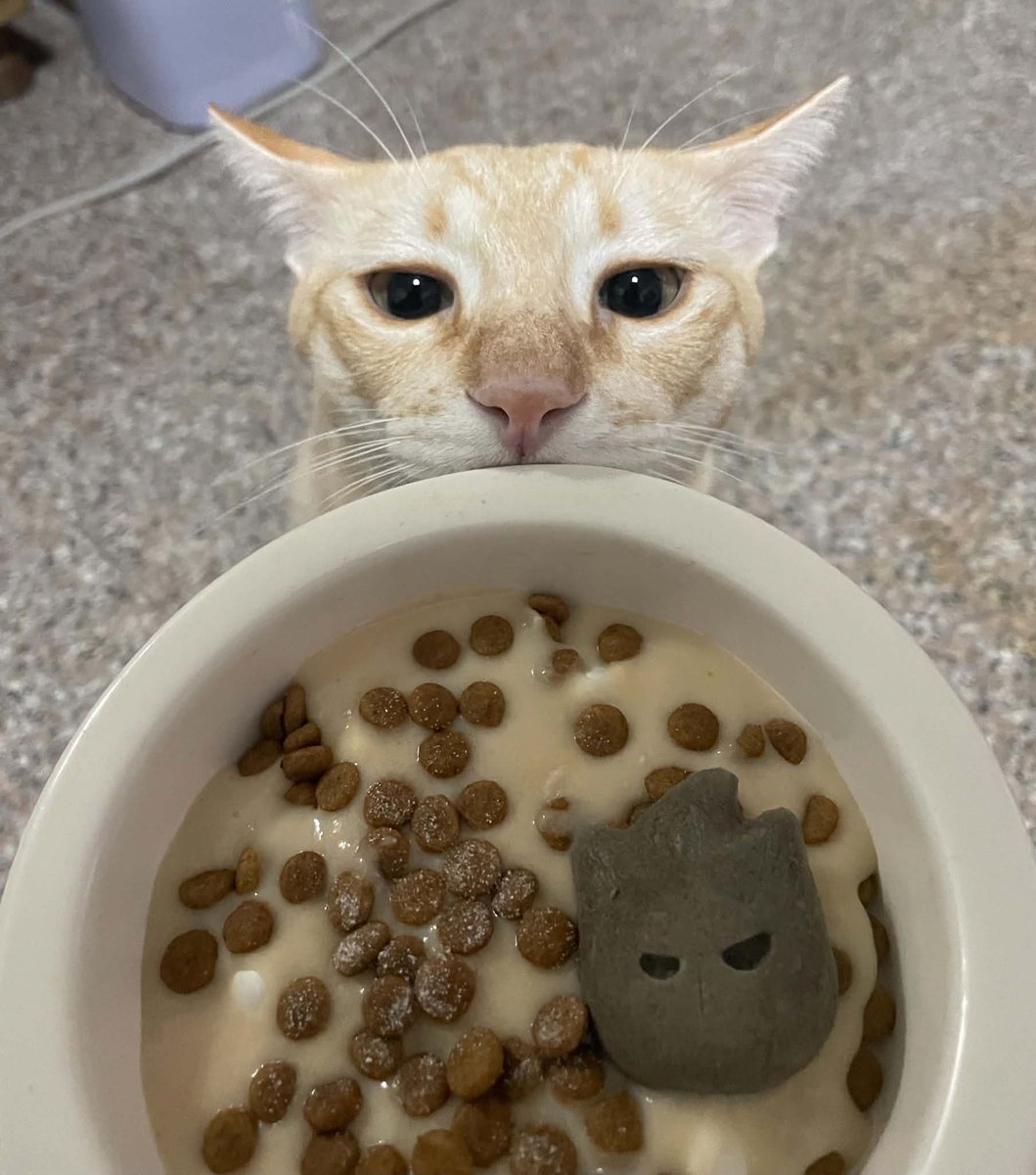 Amaritto3's tweet photo. อยากกินมาก https://t.co/s7nFkihxSz
