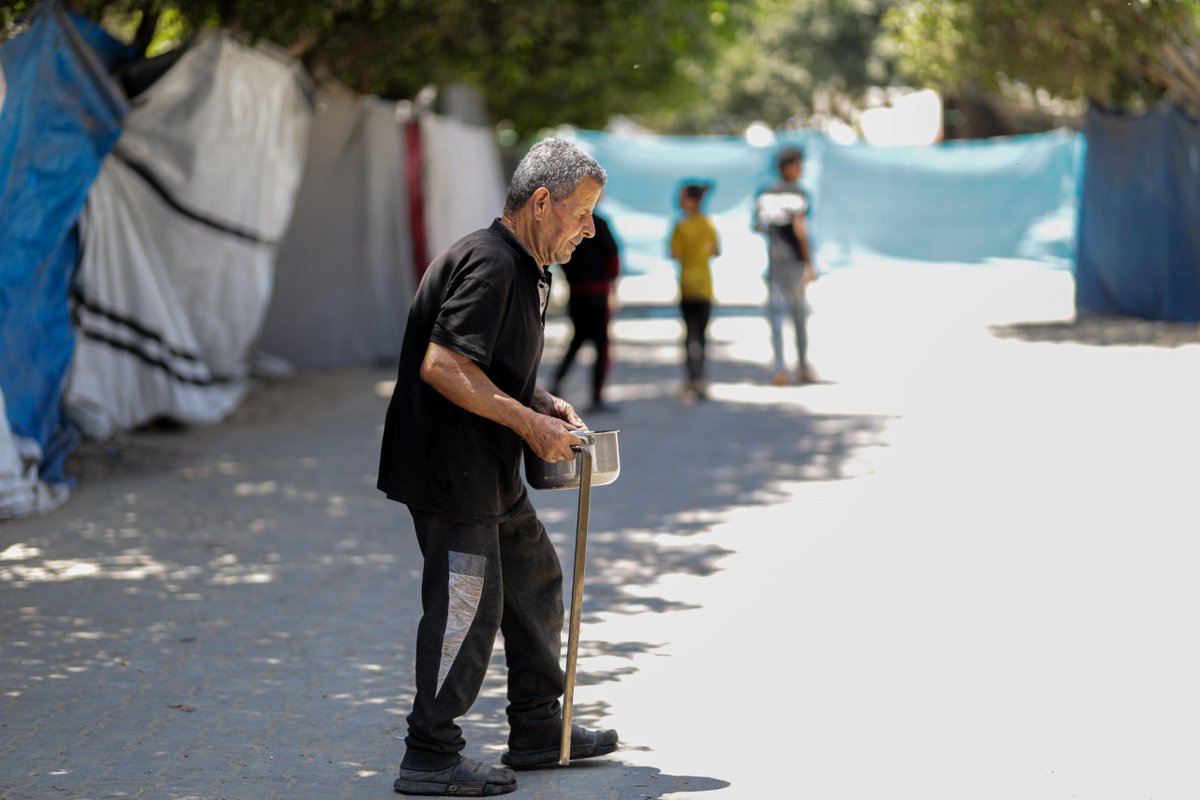 WCKitchen's tweet photo. Seniors are among the most vulnerable in any conflict or disaster. In Gaza, where displacement has left many without consistent access to food, the journey to find a meal can be long and exhausting. When our #ChefsForGaza team met 70-year-old Izzat Abdel Aal Al-Shafie, he had made that trek himself—displaced from his home in North Gaza and searching for food.
"When the meals reach us, we feel that someone still remembers us and cares about us," he told us.
WCK teams are working around the clock, serving hundreds of thousands of hot meals every day so seniors like Izzat have access to a consistent meal. #FoodIsLife
