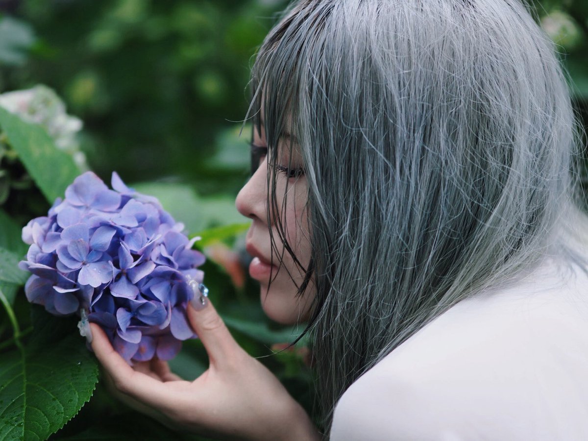 himacos_'s tweet photo. 目覚めればまた藍色に。

#ポートレート #紫陽花 #被写体 https://t.co/Uq5za93f23