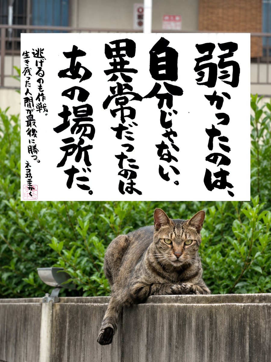 yabumoto610's tweet photo. ネコさんから人間さんへ今日の一言 https://t.co/zQ6WnKjGlG