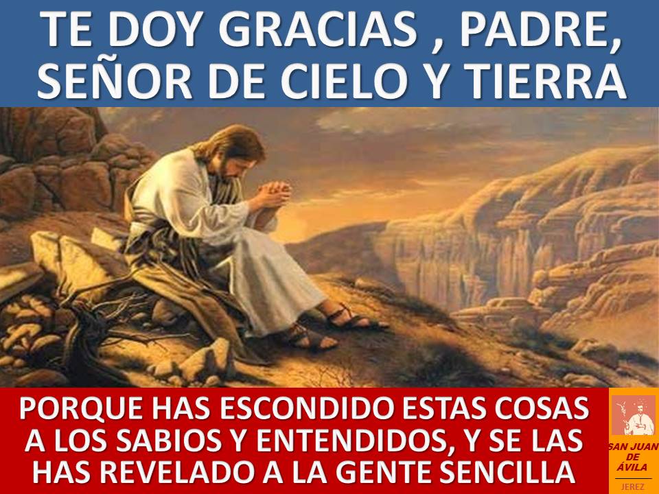 AP_SJA's tweet photo. ✝️ 14º Domingo Tiempo Ordinario

📖 Venid a mí todos los que estáis cansados y agobiados, y yo os aliviaré

Tomad mi yugo sobre vosotros y aprended de mí, que soy manso y humilde de corazón

Porque mi yugo es llevadero y mi carga ligera

⛪️¡Feliz Domingo!

https://t.co/R6NpwrSOsM https://t.co/m0YhfSpbm7
