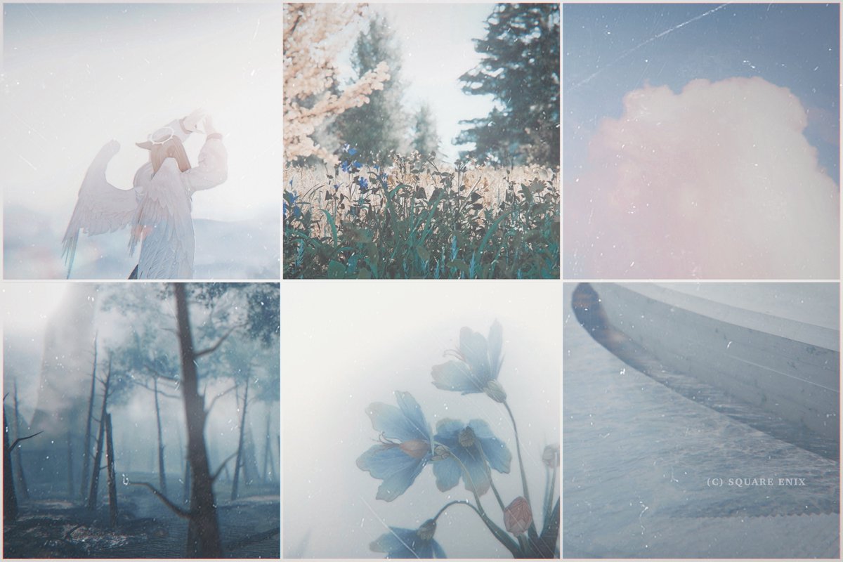 She1s__'s tweet photo. ⠀
静かな呼吸、 ￤ #FF14SS https://t.co/1LWaLDsxRu