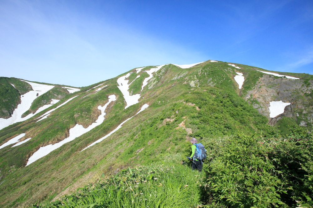 mt_qt's tweet photo. 7/4　越後駒ヶ岳／駒の湯登山口起点

先月に越中駒ヶ岳に登ったことから、７年ぶりに隣国の駒ヶ岳へ。
前回と同じく駒の湯から登山開始。急坂の小倉尾根を登り切ると、絶景の稜線歩きとなる展開がお気に入り！
登りの所要５時間５０分で前回とほぼ同じＣＴだったことは良かったです。

#ヤマノススメ https://t.co/uqxnZIqqkg