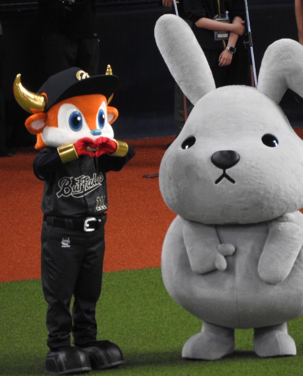 ラッピーページ 🐮×🐰 2026.7.5 #バファローブル #ラッピー