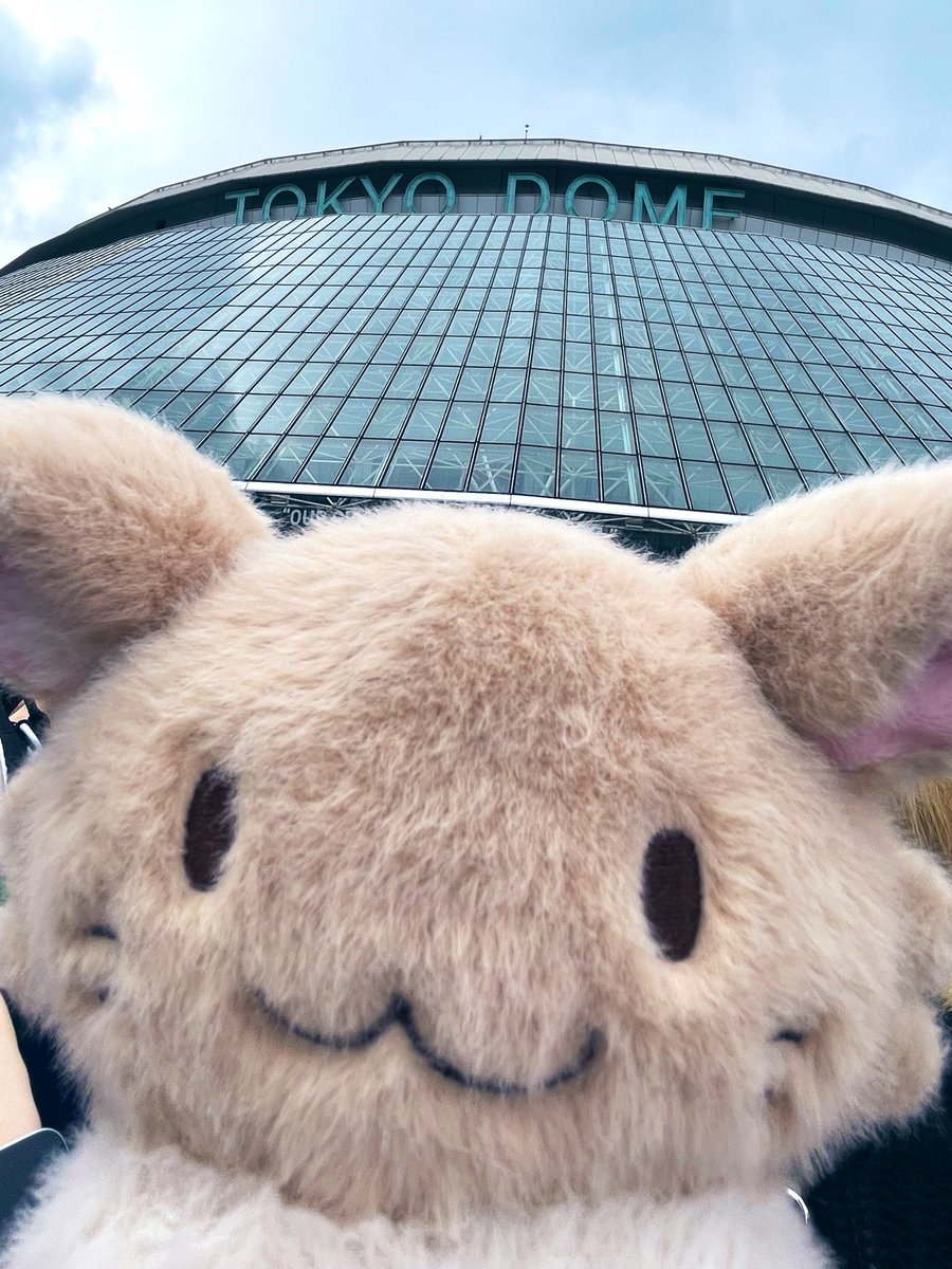 suixxx's tweet photo. TOP4、そしてえるこありがとう😸😸😸😸 https://t.co/1Q77wgbqj0