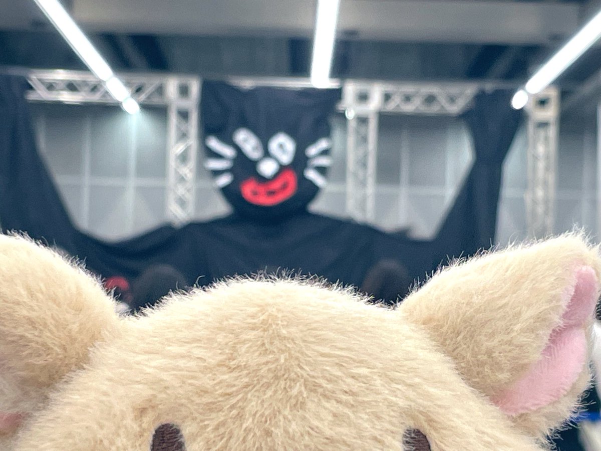 suixxx's tweet photo. TOP4、そしてえるこありがとう😸😸😸😸 https://t.co/1Q77wgbqj0