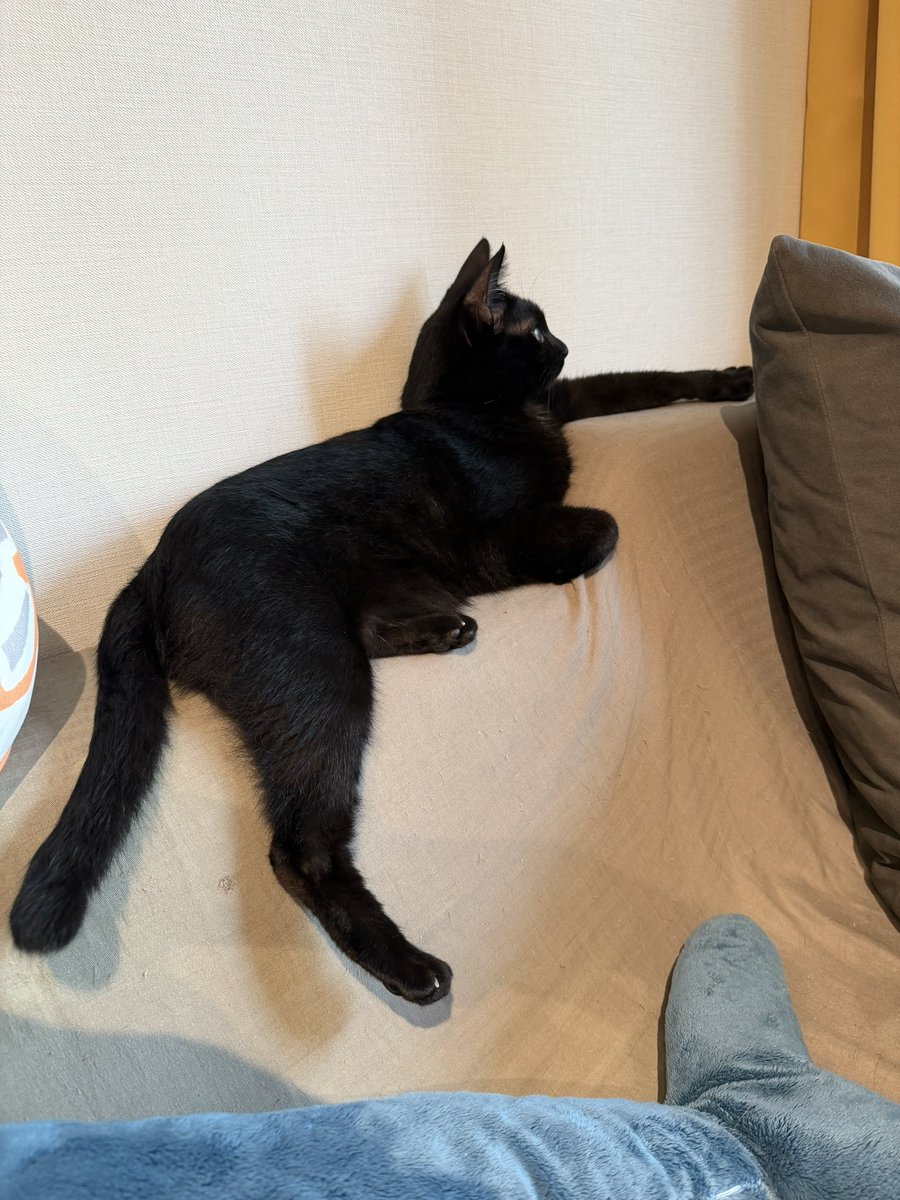 JVb47's tweet photo. 手がﾋﾞｯ https://t.co/Cxtompy3nB