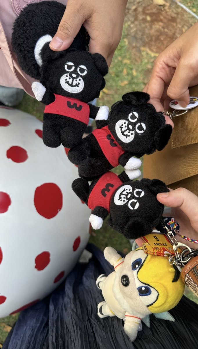 zernonchew's tweet photo. woldo princess stingsbee playdate✨
@timeouttaito @taem_mins https://t.co/ScFmOfK8rN