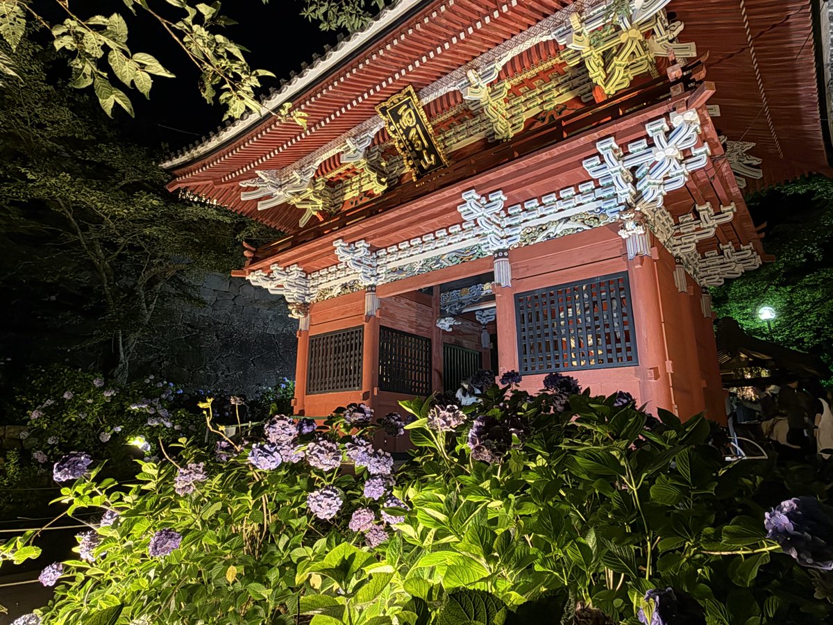 mtkszm's tweet photo. あじさい祭りへ行ってきた https://t.co/uTTVSawLCf