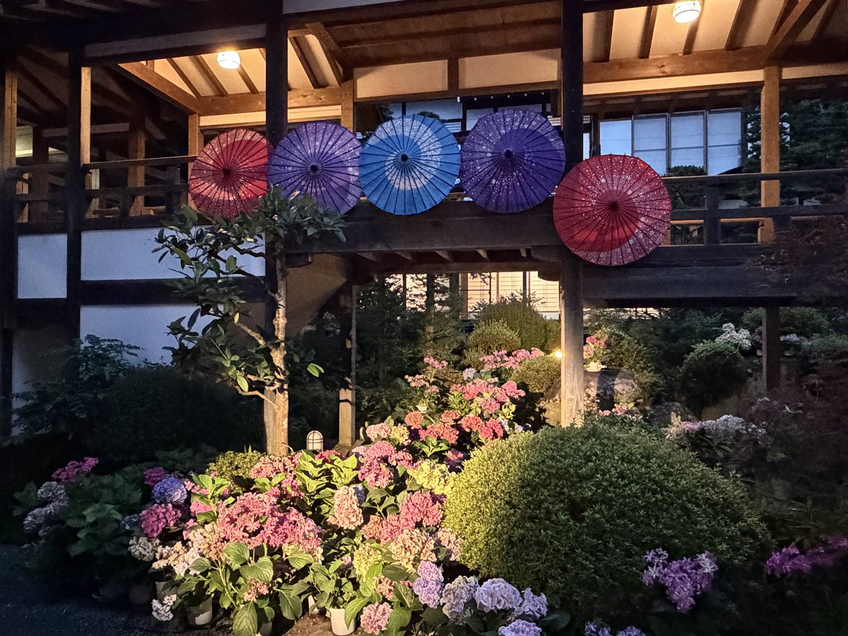 mtkszm's tweet photo. あじさい祭りへ行ってきた https://t.co/uTTVSawLCf