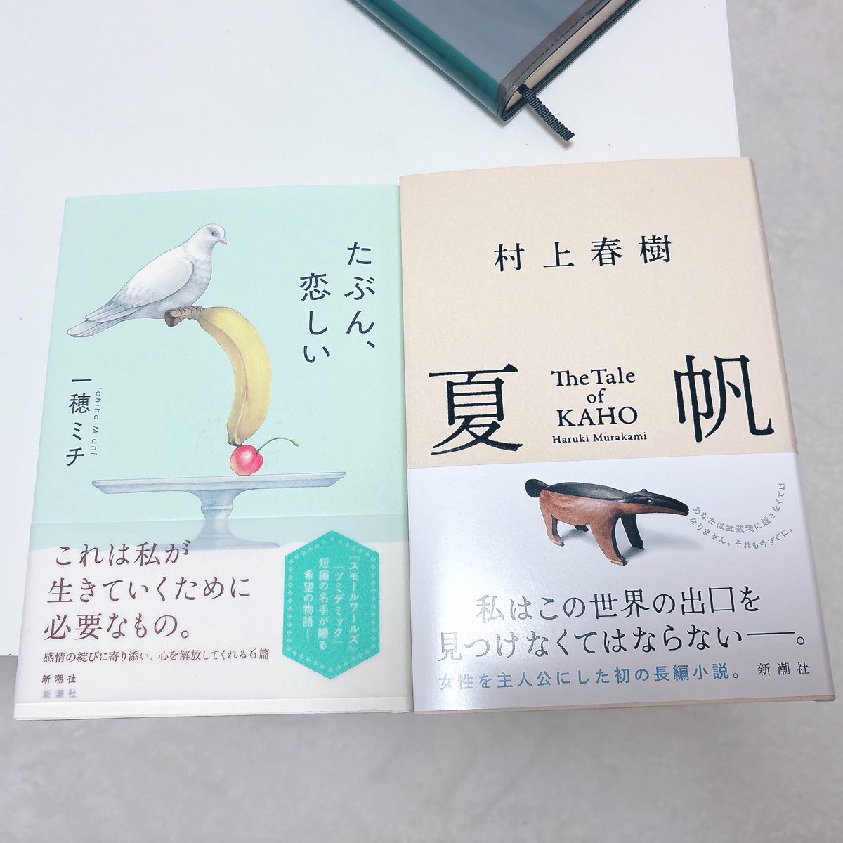 Pyon__hon's tweet photo. #購入本
村上春樹の新刊！楽しみすぎる(∗ ˊωˋ ∗)
装丁がとてもすき！
２冊並べても色合いが良くて癒される🩵 https://t.co/nR5cN2RYdA