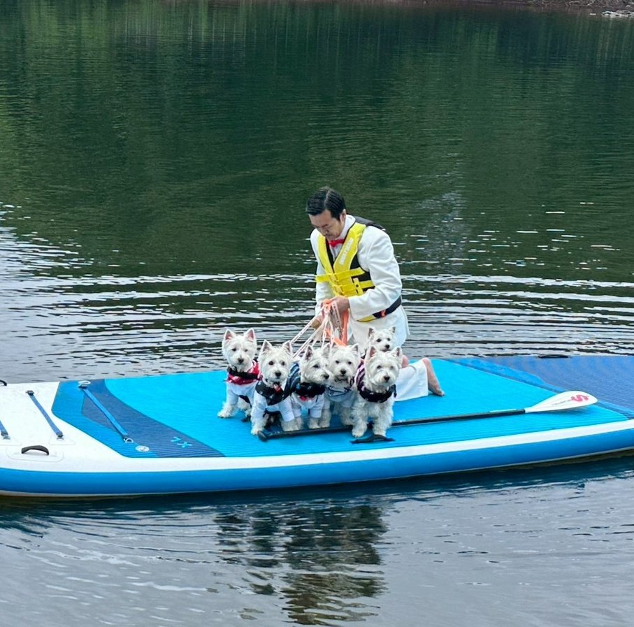 Michaelclan1103's tweet photo. 飼い主以外ではムーディさんしかできないリードさばき🐶 https://t.co/6iaTPnDQhJ