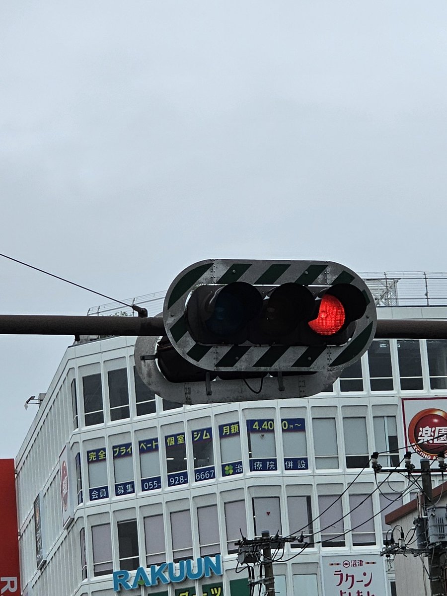 信号機 沼津駅前にある日本信号小糸工業製D型ボディ灯器。ゼブラ付き