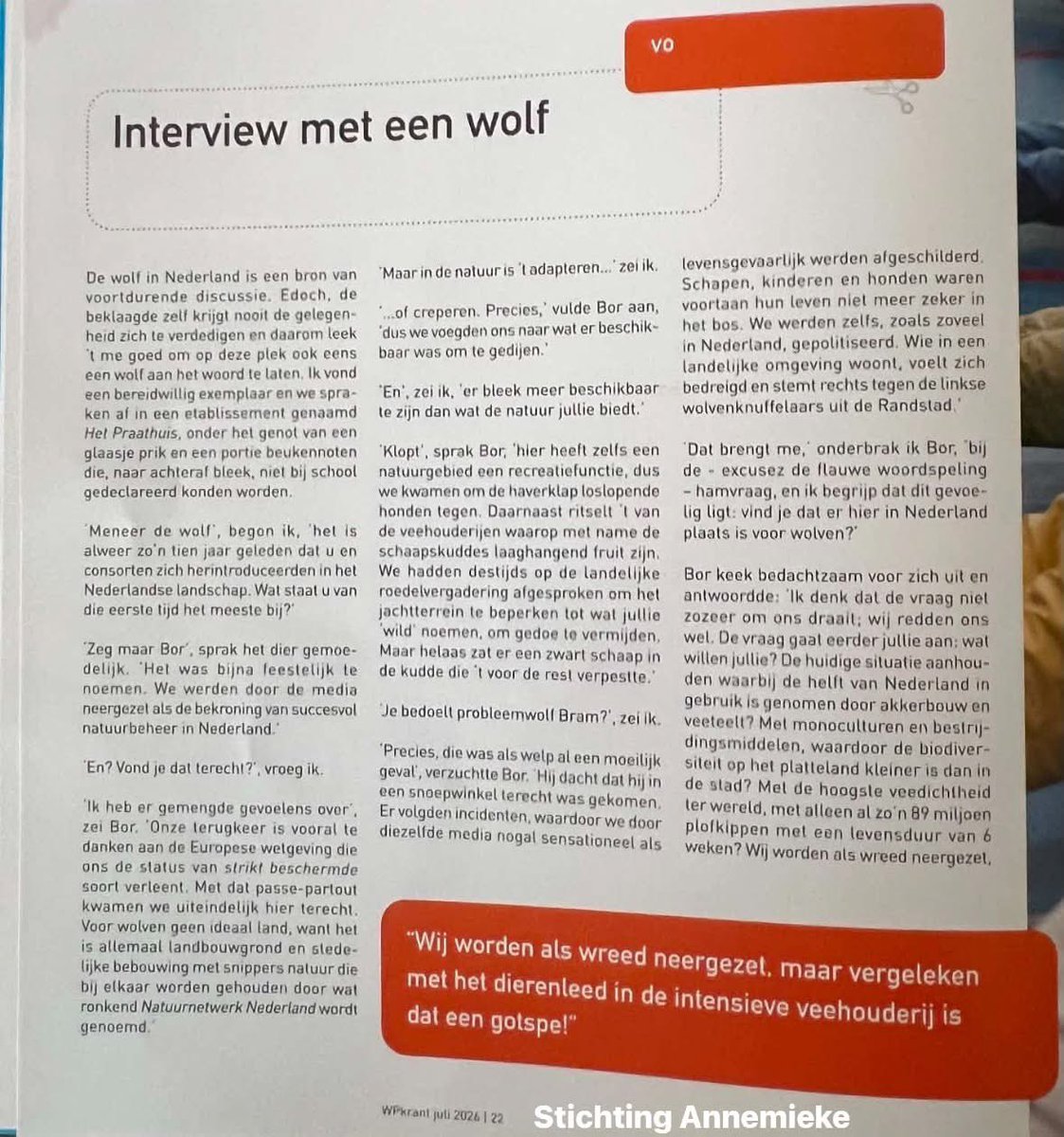 AvanStraaten's tweet photo. Ik kreeg net enkele pagina’s doorgestuurd uit de schoolkrant van de Werkplaats Kindergemeenschap (basis- en voortgezet onderwijs) in Bilthoven.
Een themanummer over de wolf. Inclusief een fictief ‘Interview met een wolf’, waarin de wolf de mens de maat neemt, de onderwijsvisie van de school prijst en de terugkeer van de wolf wordt gebruikt als pedagogische metafoor.
Waar is het andere verhaal? Waar is de schapenhouder die zijn dieren doodgebeten terugvindt? Waar zijn de dierhouders en inwoners van wolvengebieden die dagelijks met de gevolgen leven? Waar is het eerlijke debat?
Nergens.
In plaats daarvan krijgen ouders en leerlingen een zorgvuldig opgebouwd verhaal voorgeschoteld waarin één visie de boventoon voert en nauwelijks wordt uitgedaagd.
Dat is precies wat een school niet zou moeten doen.
Onderwijs hoort nieuwsgierigheid te stimuleren. Kritisch denken. Het wegen van argumenten. Niet het verpakken van één maatschappelijk wereldbeeld in een schoolkrant alsof daar geen fundamenteel debat over bestaat.
Als dit is wat scholen tegenwoordig onder onderwijs verstaan, dan zijn we de kern van onderwijs kwijt.
Werkplaats Kindergemeenschap in Bilthoven, dit is geen voorbeeld van kritisch onderwijs, maar van een school die haar eigen overtuigingen belangrijker lijkt te vinden dan het open debat.
🤮 1/2⬇️