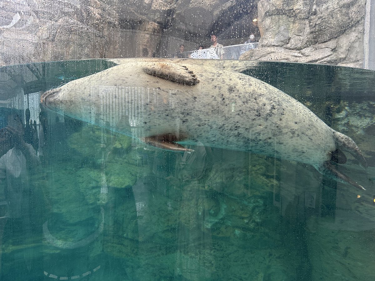hintyu's tweet photo. 水族館ってずっといれるよね
癒し空間
年パス買うか悩む https://t.co/J6H5YPE3Do