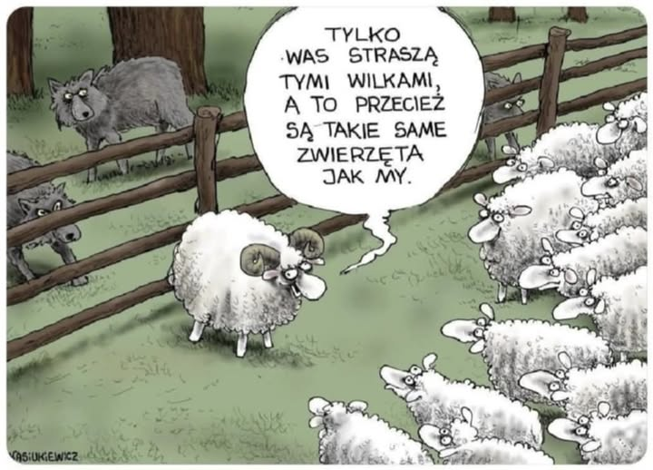 R4AZI3L's tweet photo. @jachcy Może to ma jakiś związek z tym 🤔 https://t.co/HEM4PS0ZhL