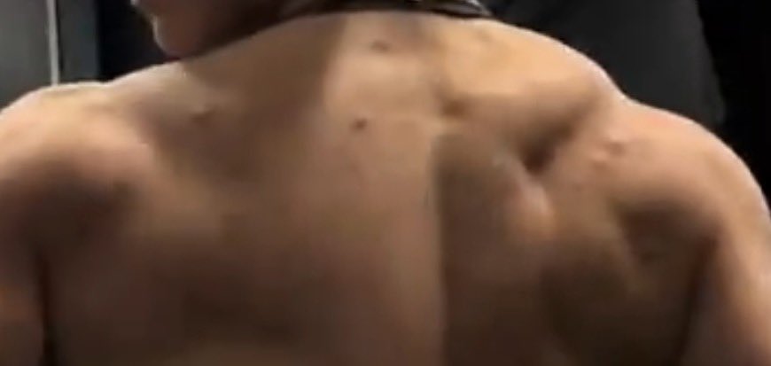 Wolf3589's tweet photo. @CharleyMufasa Super impressive chest, but 1000% steroids. https://t.co/q5phY8D4L4