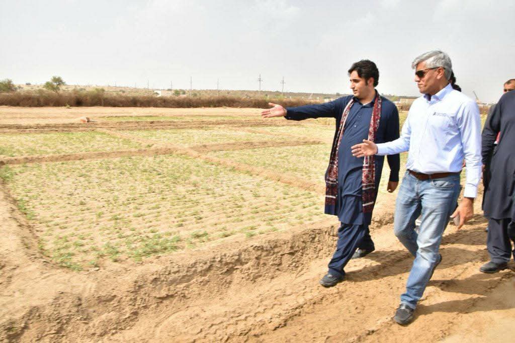 BhuttoMaryam's tweet photo. Droughts are becoming history in Thar. Thanks to groundbreaking biosaline agriculture and booming reservoir fish-farming, the region is thriving under Chairman @BBhuttoZardari’s visionary leadership. The future is here. #TharBadleGaPakistan ❤️🖤💚 https://t.co/OuLV2qsNOL
