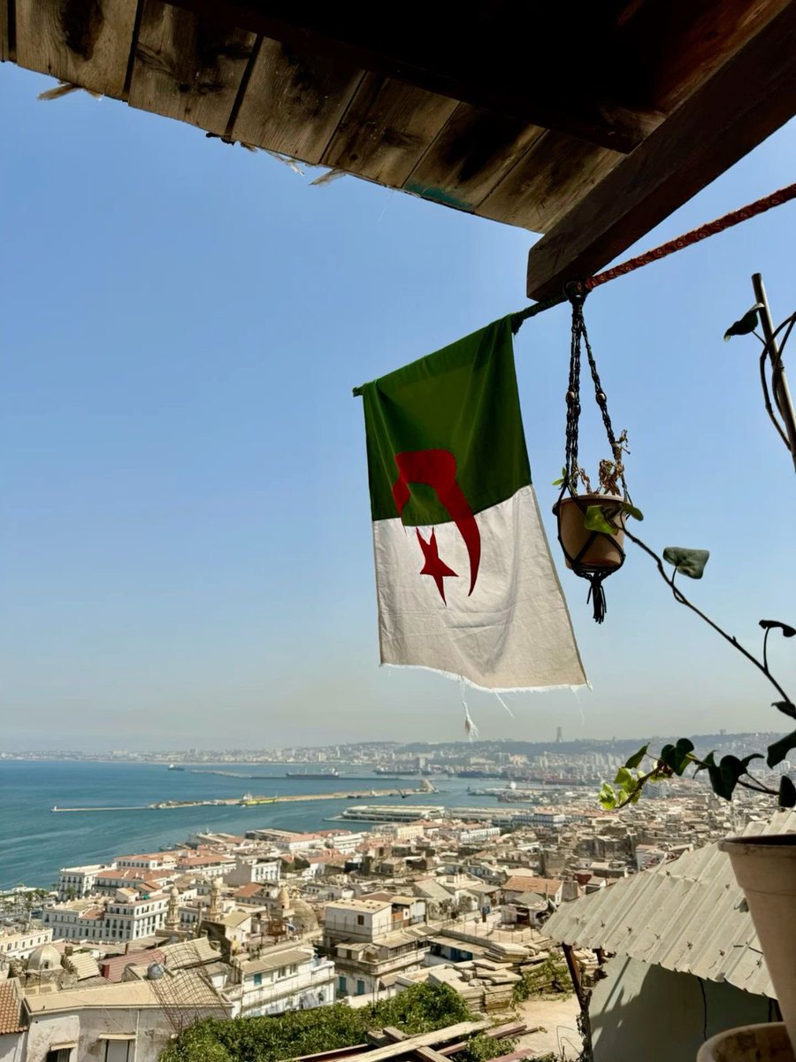 alcantaravv's tweet photo. 🇩🇿 https://t.co/6xdv5DoaNU
